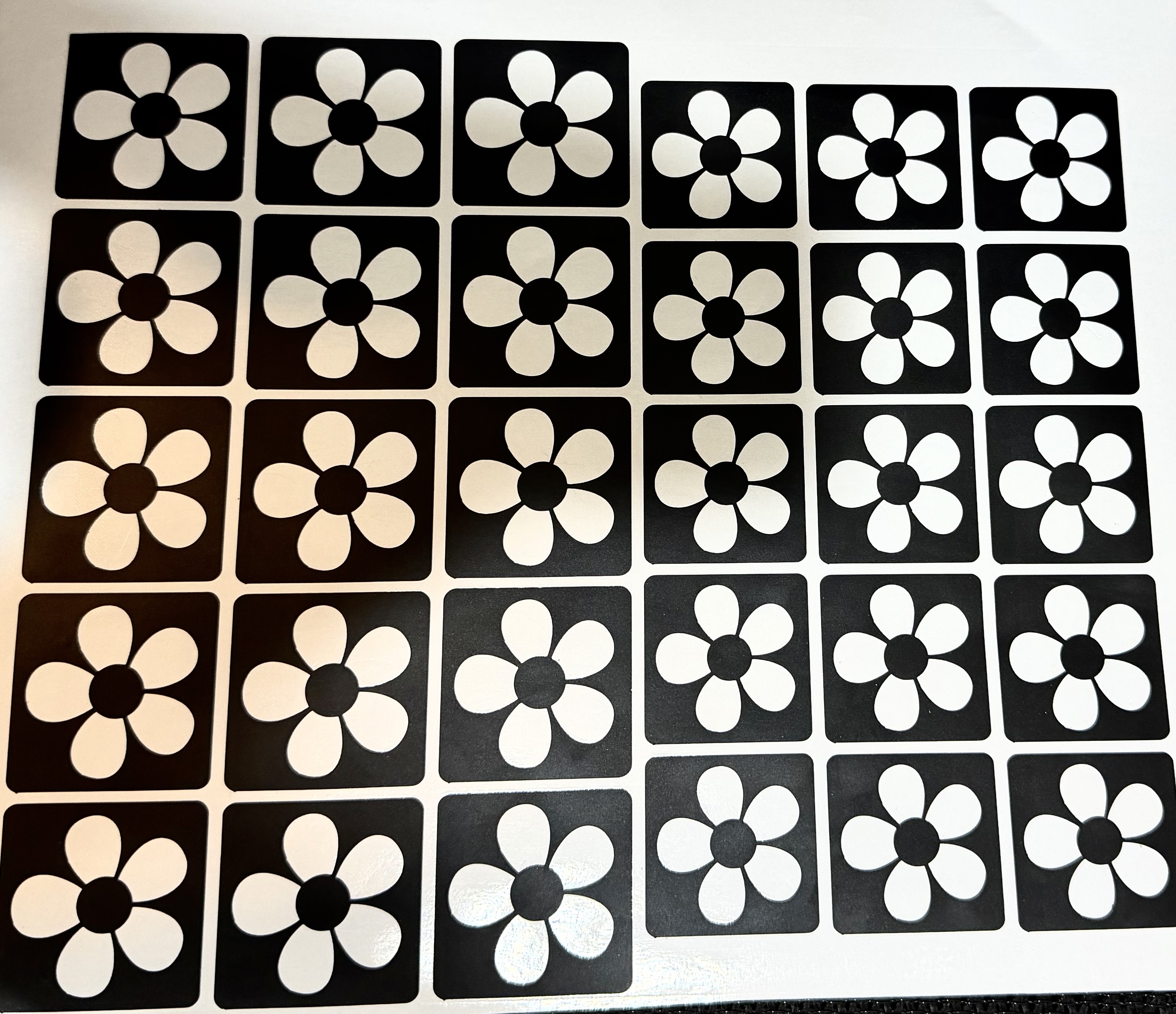 five petal flower